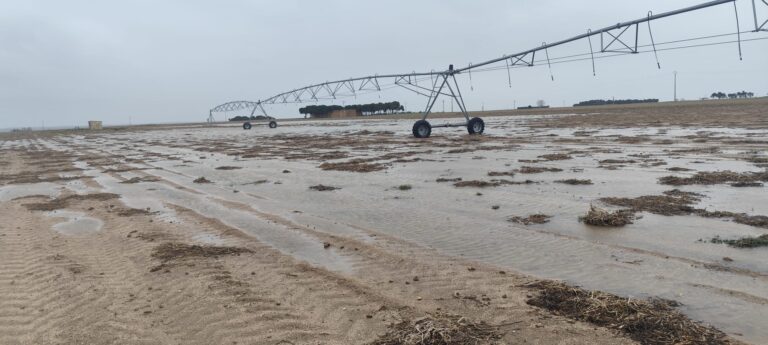 ASAJA CLM exige a la Consejería flexibilizaciones en la PAC como las aprobadas en Andalucía, Extremadura, Madrid o Castilla y León