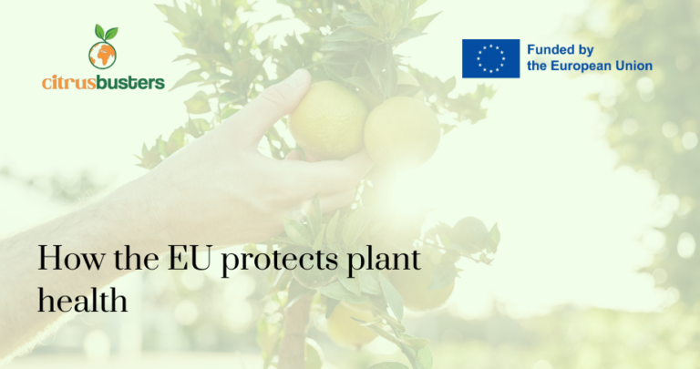 Cómo protege la UE la sanidad vegetal