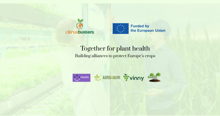 Conoce a las iniciativas hermanas de CITRUSBUSTERS