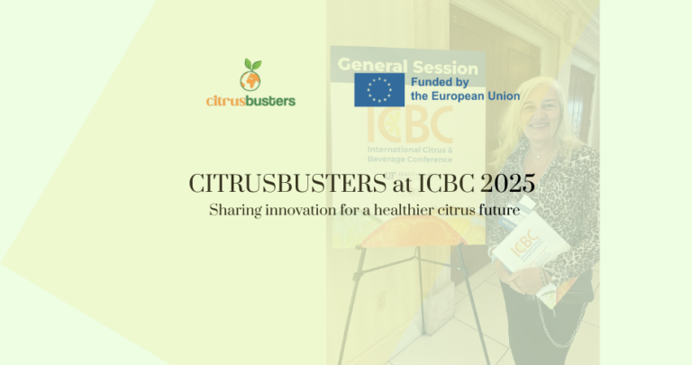 CITRUSBUSTERS en ICBC 2025: compartiendo innovación para un futuro citrícola más saludable