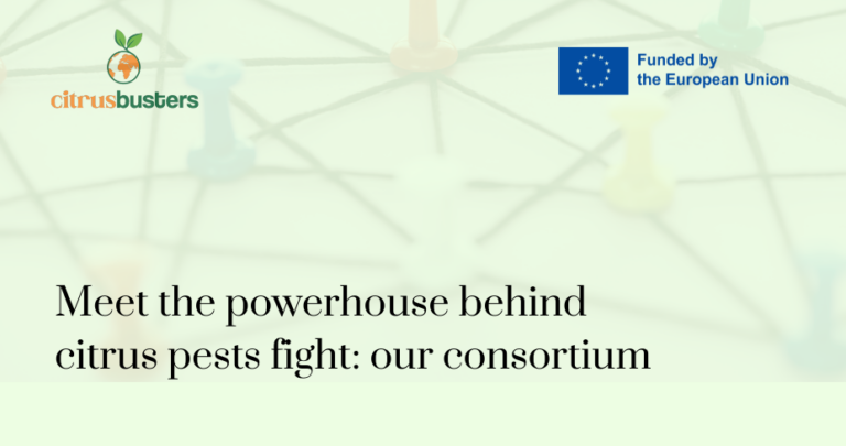 Conoce al equipo que lidera la lucha contra las plagas de los cítricos: nuestro consorcio