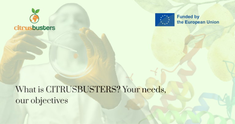 ¿Qué es CITRUSBUSTERS? Tus necesidades, nuestros objetivos