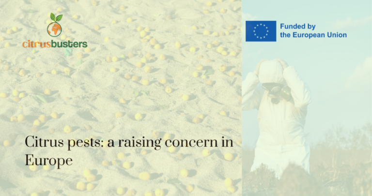 Plagas de los cítricos: una preocupación creciente en Europa
