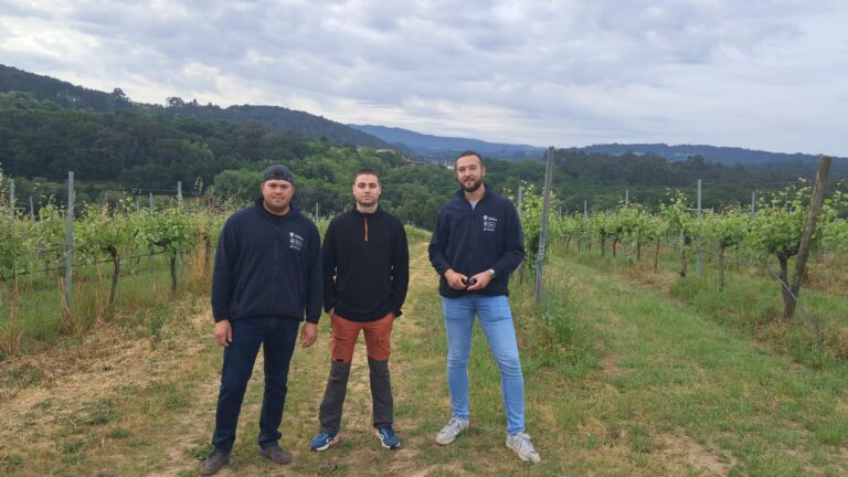 Viticultura con bodega propia en Meis: una explotación modelo en la D.O. Rías Baixas dentro del Programa CULTIVA