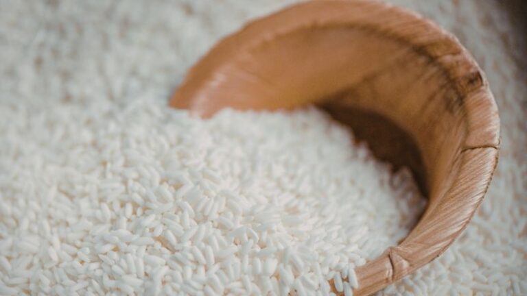 ASAJA pide a los eurodiputados que rebajen el umbral de la cláusula automática del arroz