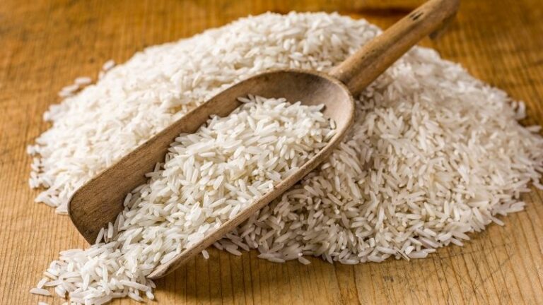 Aumento de las exportaciones de arroz de Asia Oriental: muchos países actúan, la UE no puede permitirse esperar