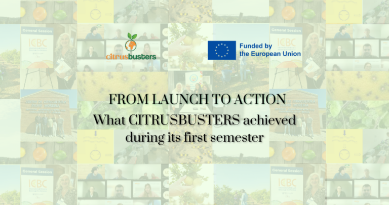 Del lanzamiento a la acción: lo que CITRUSBUSTERS logró en su primer semestre