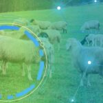 Jornada AGROTEST DIGITAL León. Demostraciones tecnológicas en la producción de rumiantes