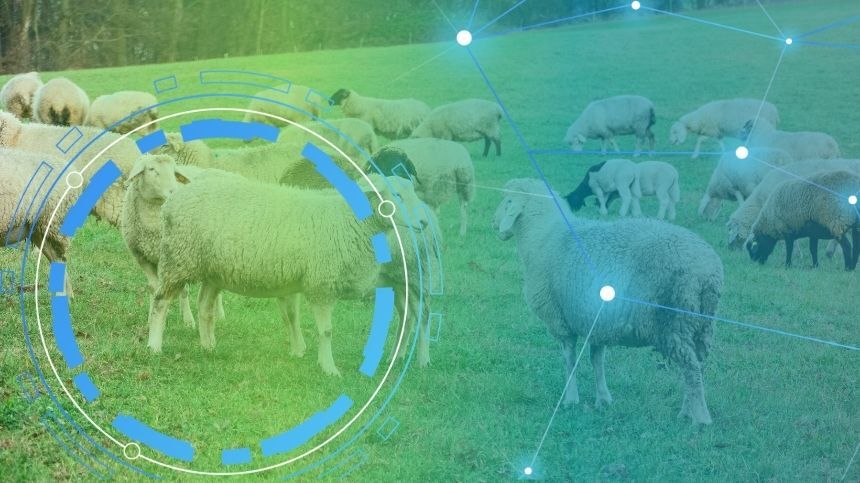 Jornada AGROTEST DIGITAL León. Demostraciones tecnológicas en la producción de rumiantes