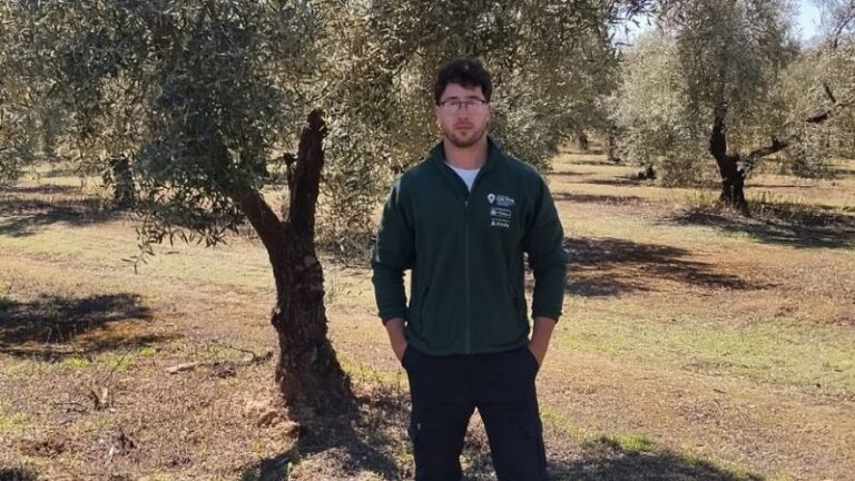 Olivar tecnificado y sostenible: un modelo eficiente dentro del Programa CULTIVA