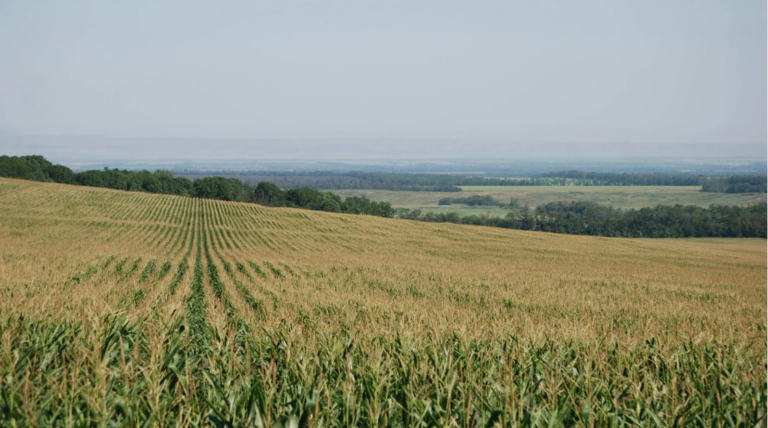 El reconocimiento de los biocombustibles y la bioenergía en «AccelerateEU» supone un avance, pero es necesario un seguimiento concreto