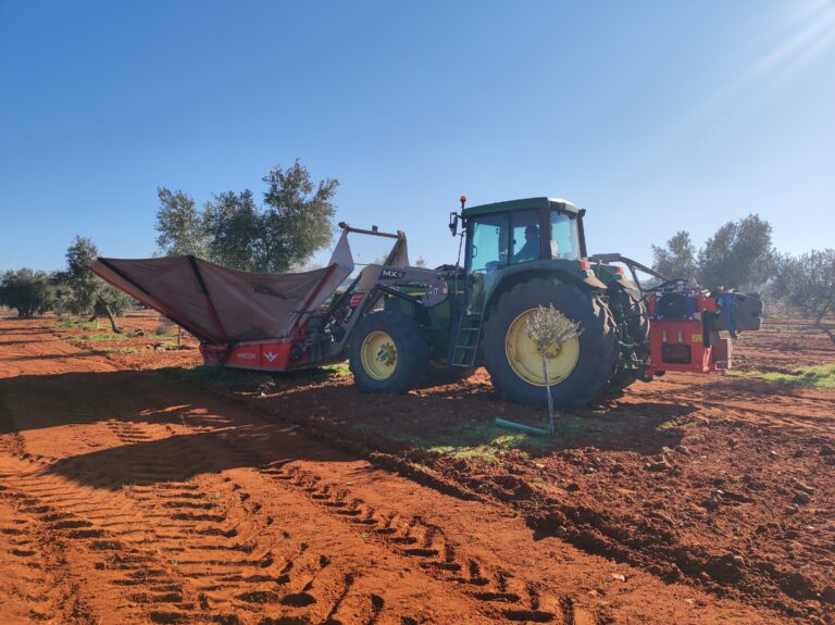 ASAJA Ciudad Real valora el preacuerdo del convenio del campo y alerta del grave problema de falta de mano de obra 