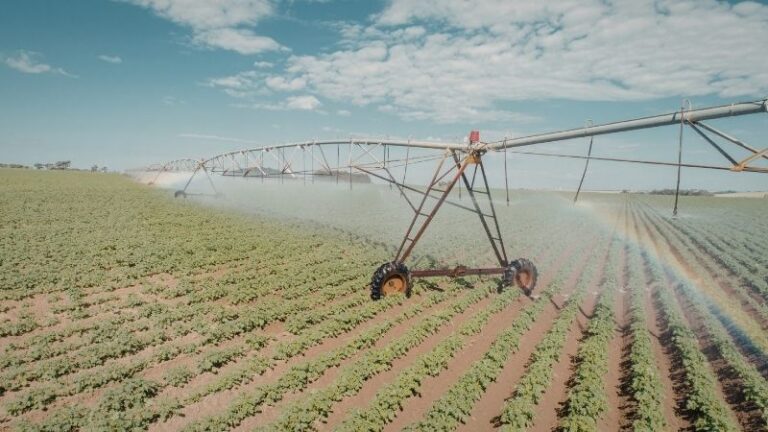 ASAJA Ciudad Real denuncia el abandono del regadío y la criminalización injusta de los agricultores