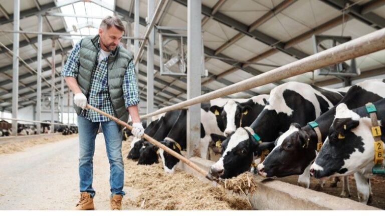 “La industria impone y no negocia”