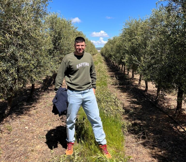 Olivar intensivo en Bélmez (Córdoba): sensores, satélite y cosecha mecanizada en una explotación modelo de Agricultura 4.0