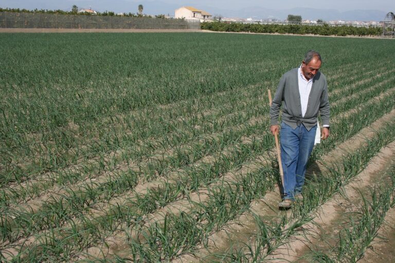 AVA-ASAJA denuncia que miles de agricultores quedarán fuera de las ayudas a fertilizantes por las trabas burocráticas del Ministerio