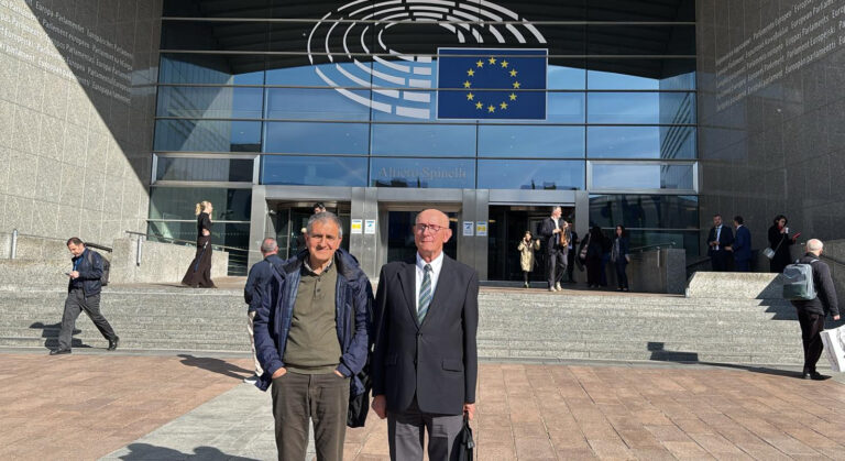 AVA-ASAJA pide revisar los tratados comerciales tras perder hasta un 19% de cuota en mandarinas por las importaciones