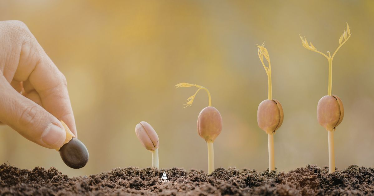 ASAJA valora el avance de Europa en regulación de la edición genética para blindar sus cultivos frente al clima y pide su rápida aprobación final