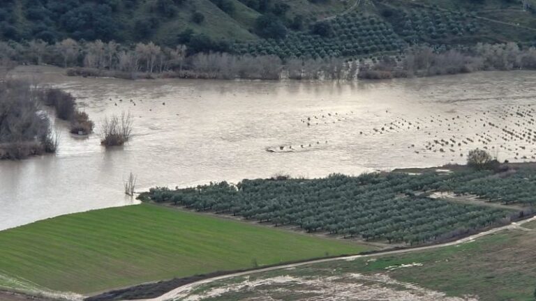 El sector agrario de Granada ve insuficientes las ayudas por las borrascas