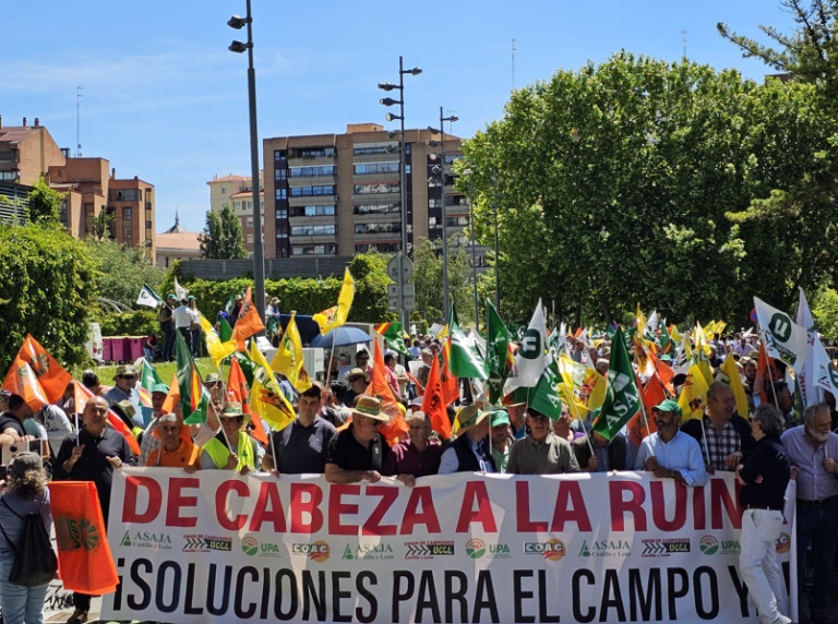 El Campo de Castilla y León clama por su futuro ante una nueva cosecha que se saldará con más pérdidas