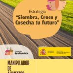 CURSO: Manipulador de Alimentos