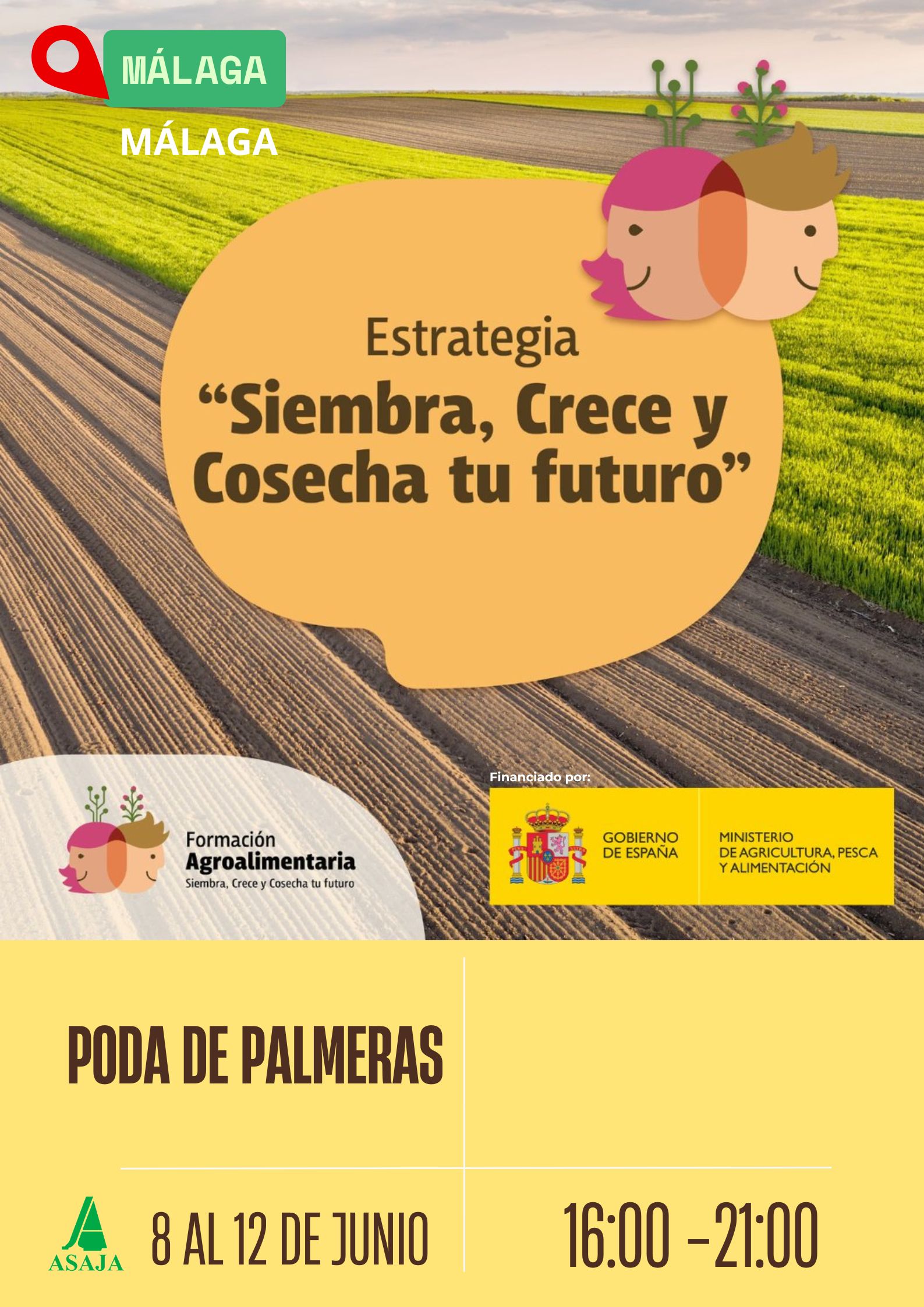 CURSO: Poda de Palmeras