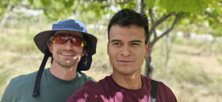 CULTIVA. Campotejar, la finca murciana donde la agricultura ecológica cuida el suelo, el agua y el relevo del campo 