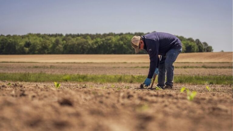 ARAG-ASAJA urge al Gobierno a aprobar cuanto antes la Orden de módulos agrarios