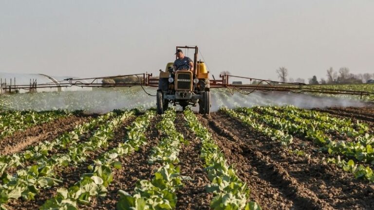 Eliminar el ETS en fertilizantes: una prioridad para la competitividad del campo español y europeo