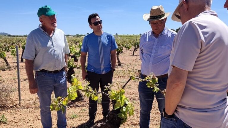 El sector vitivinícola valora las peritaciones rápidas de Agroseguro por la marchitez fisiológica