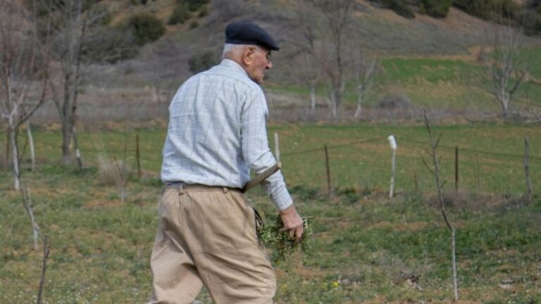 Los agricultores podrán acogerse a la nueva regulación de la jubilación flexible