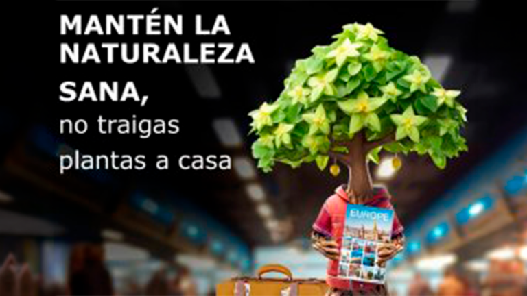 La sanidad vegetal, clave para proteger los alimentos, los cultivos y el futuro del sector agrario
