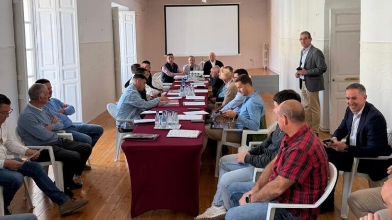 ASAJA Córdoba prevé hasta un 50 % más de cosecha de ajo en 2026