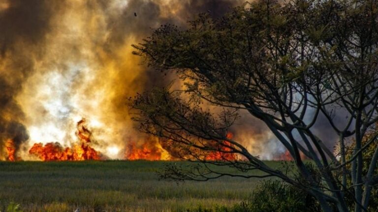ASAJA Almería recuerda la normativa sobre el uso del fuego en el campo andaluz