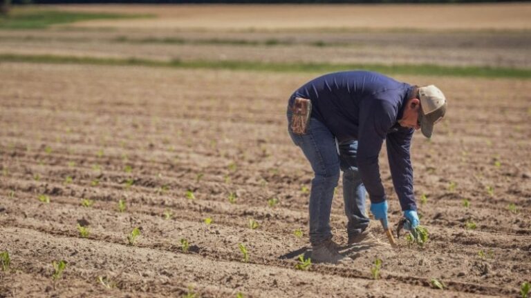 ASAJA Ciudad Real denuncia el abandono fiscal al campo tras la publicación de la reducción de módulos