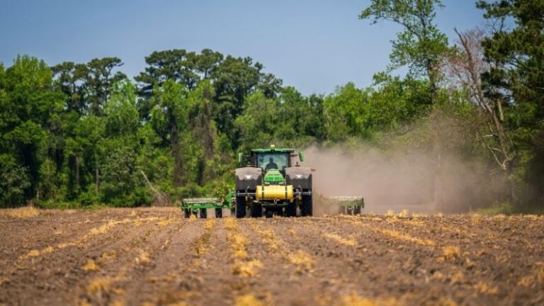 El Consejo suspende los aranceles aduaneros sobre determinados fertilizantes durante un año