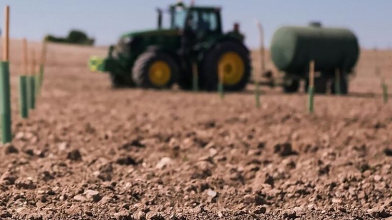 La Comunidad de Madrid está por debajo de la media nacional en jóvenes autónomos agrarios