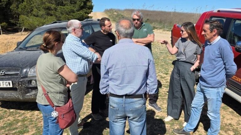 La invasión de conejos que desespera al campo navarro