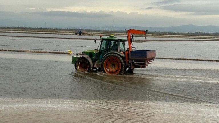 La siembra del arroz en la Albufera será la más cara de la historia, según AVA-ASAJA