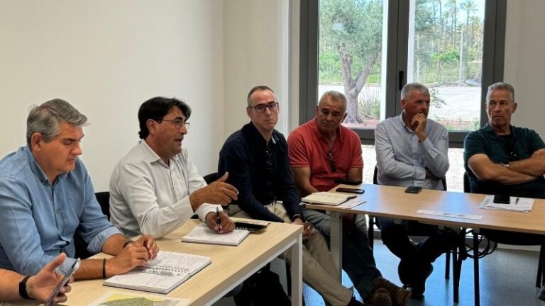 ASAJA Alicante pide agilidad en la detección del virus de la clorosis en cítricos