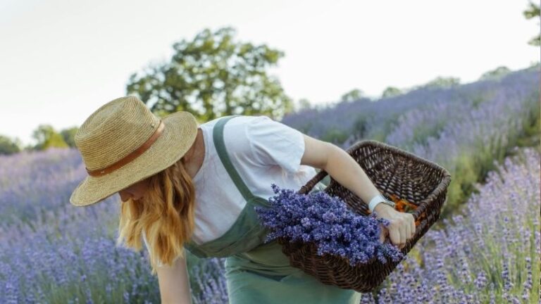 La mujer rural gana protagonismo como motor de desarrollo y emprendimiento