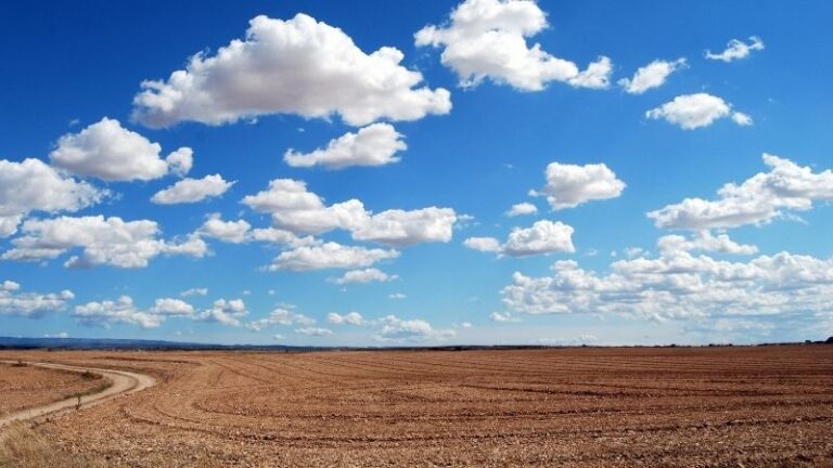 ASAJA-Jaén denuncia que la reducción de módulos del IRPF “es insuficiente” para el campo