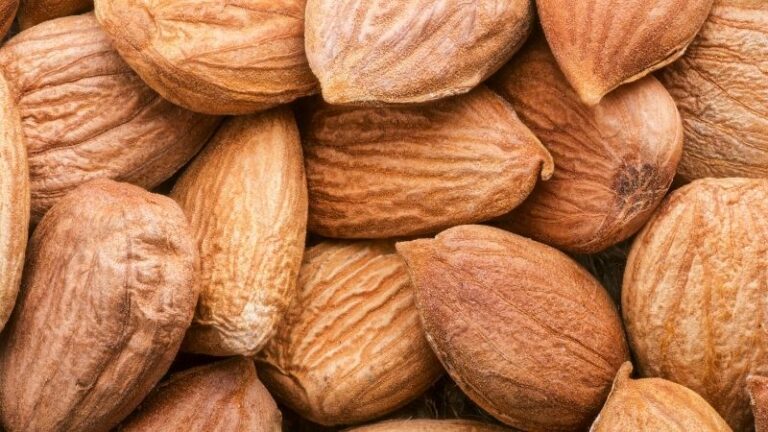 El sector de frutos secos sitúa la previsión de cosecha de almendra por encima de las 135.000 tn  