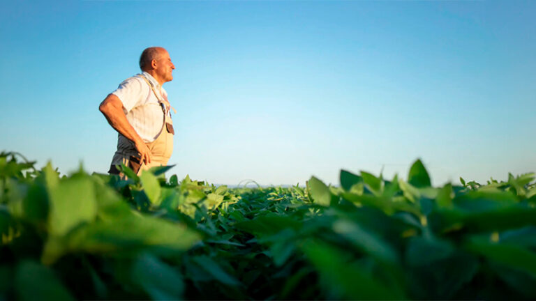 La Comunidad Valenciana convoca ayudas para la certificación de la producción ecológica en 2026