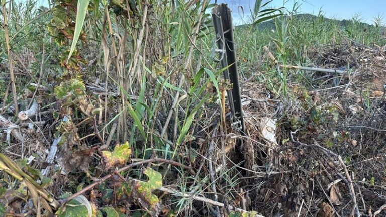 La DANA a pie de campo, año y medio después