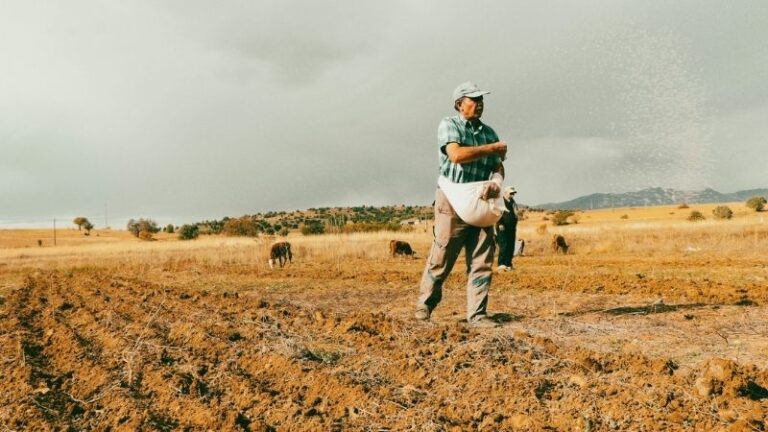 El campo andaluz pide más tiempo para tramitar la PAC y evitar pérdidas de ayudas
