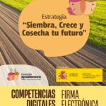 CURSO: Competencias Digitales. Firma electrónica