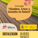 CURSO. Digitalización en Redes Sociales