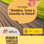 CURSO: Operador de carretillas elevadoras