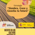 CURSO: Injerto en los Cultivos Hortícolas